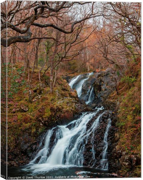 Outdoor water Canvas Print by David Thurlow
