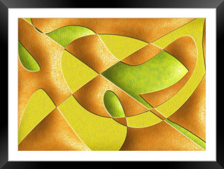 FRUIT ABSTRACT Framed Mounted Print by david hotchkiss
