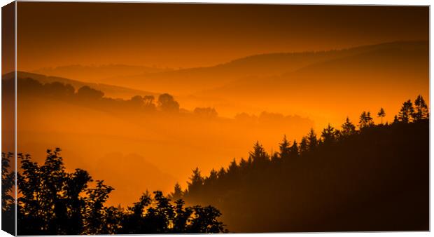 Golden Hour on Exmoor Canvas Print by Mike Lanning