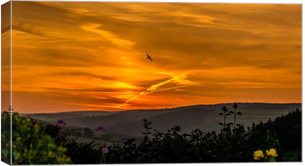 Sunset Swallow Canvas Print by Mike Lanning