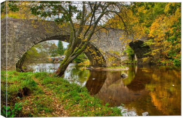 Inver Bridge and River Braan Autumn Canvas Print by Navin Mistry
