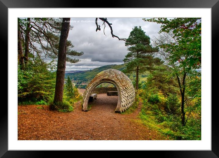 The Pine Cone View Point Tay Forest Dunkeld  Framed Mounted Print by Navin Mistry