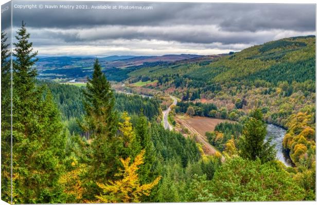 A view of the Tay Forest near Dunkeld Canvas Print by Navin Mistry