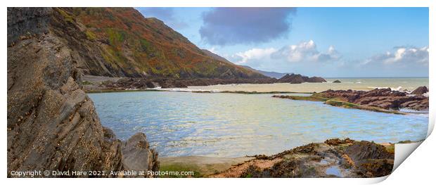 Ilfracombe Print by David Hare