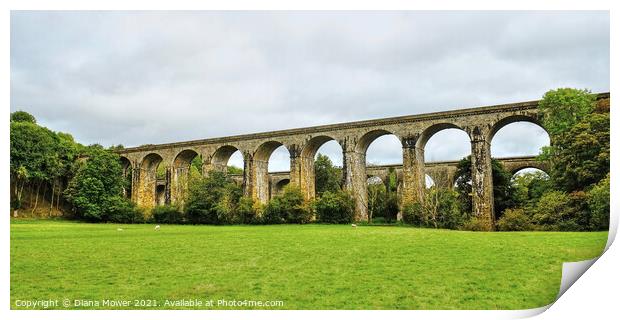  Aqueduct and Viaduct Chirk Wales Print by Diana Mower