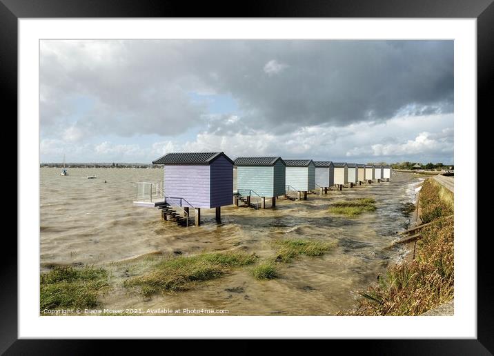 Breezy day Osea View Maldon Framed Mounted Print by Diana Mower