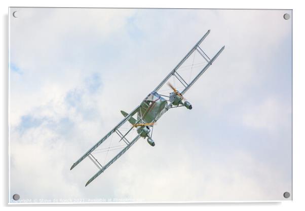 de Havilland DH84a Dragon G-ECAN Acrylic by Steve de Roeck