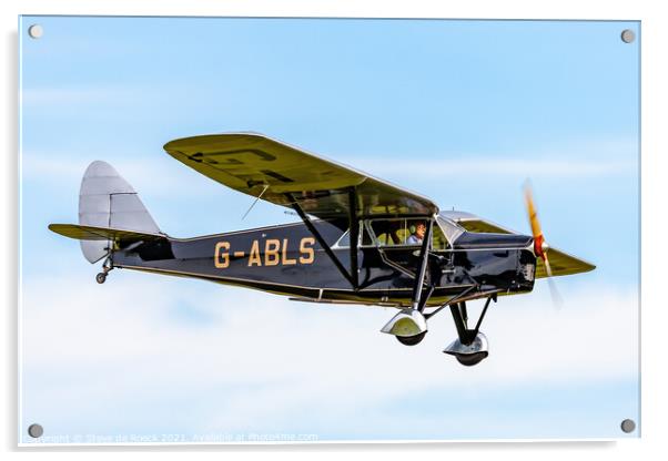 de Havilland DH60 Puss Moth Acrylic by Steve de Roeck