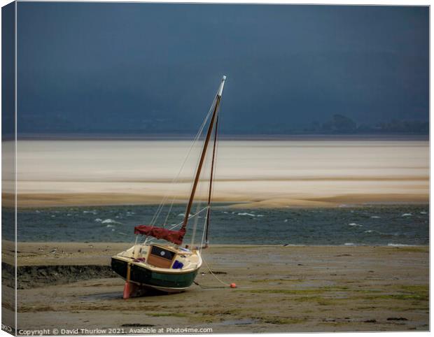 Waiting for the tide Canvas Print by David Thurlow