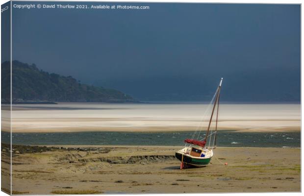 Wind swept sands in the Glaslyn estuary.  Canvas Print by David Thurlow