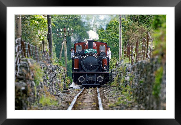 Limited Clearance! Framed Mounted Print by David Thurlow