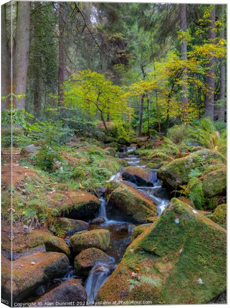 Autumn arrives at Wyming Brook Canvas Print by Alan Dunnett