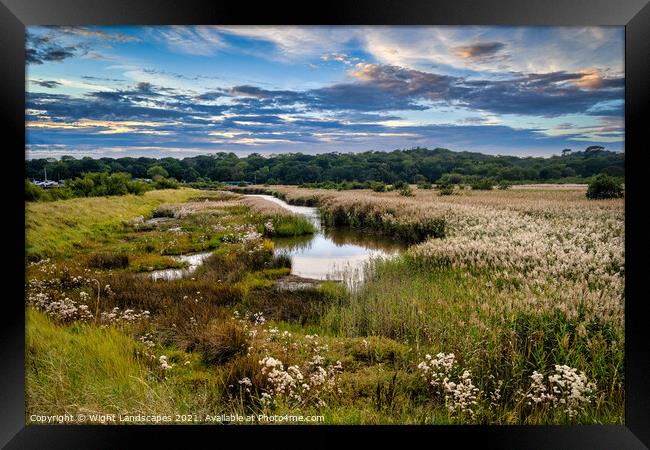 Yarmouth Salt Marsh Framed Print by Wight Landscapes