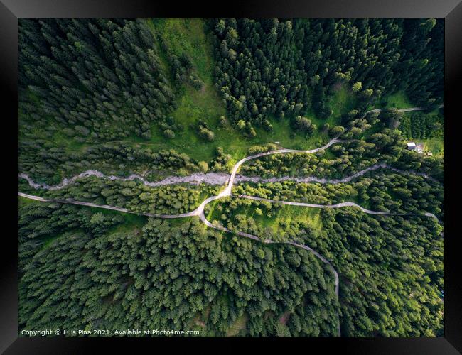 Aerial Drone view of trees from the top on a forest on the Italian Dolomites Alps in Santa Magdalena Framed Print by Luis Pina