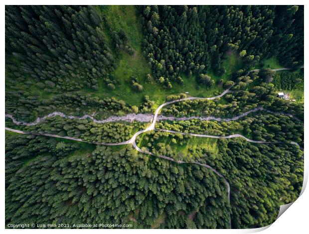 Aerial Drone view of trees from the top on a forest on the Italian Dolomites Alps in Santa Magdalena Print by Luis Pina