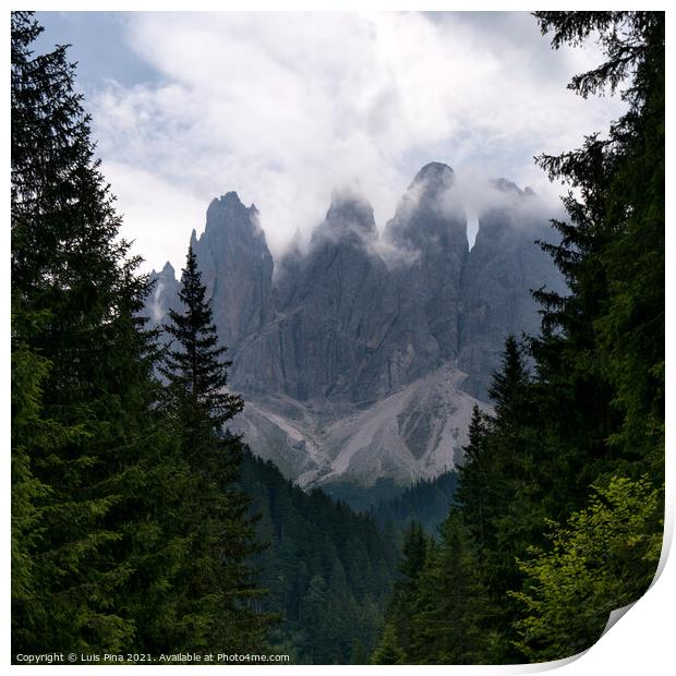 View of Furchetta mountain between trees on the Dolomites Italian Alps mountains Print by Luis Pina