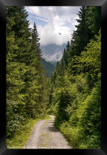 Hiking path on the mountain in Santa Magdalena Dolomites Italian Alps Framed Print by Luis Pina