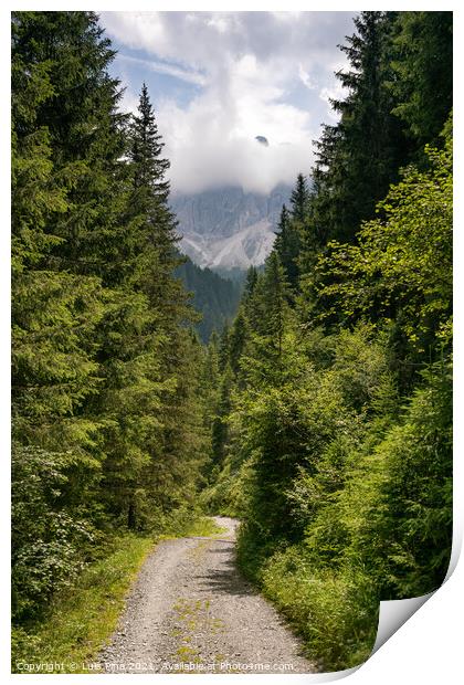 Hiking path on the mountain in Santa Magdalena Dolomites Italian Alps Print by Luis Pina