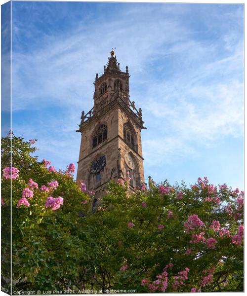 Duomo di Bolzano Church Cathedral with flowers Canvas Print by Luis Pina
