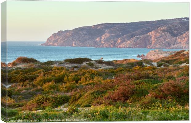 Praia do Guincho beach sand dunes and the coastline at sunset Canvas Print by Luis Pina