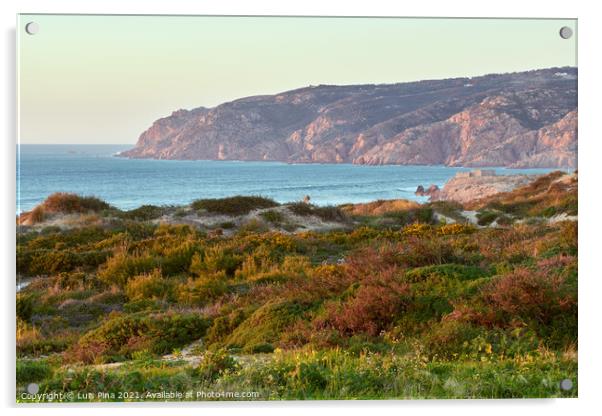 Praia do Guincho beach sand dunes and the coastline at sunset Acrylic by Luis Pina