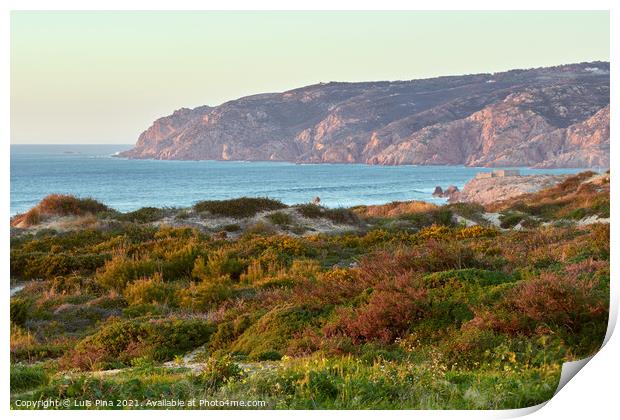 Praia do Guincho beach sand dunes and the coastline at sunset Print by Luis Pina