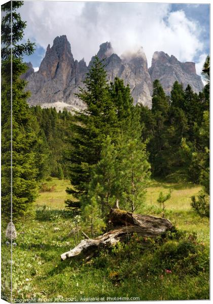 View of Furchetta mountain with trees on the foreground on the Dolomites Italian Alps mountains Canvas Print by Luis Pina