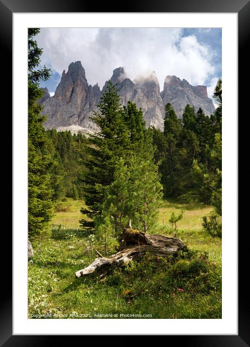 View of Furchetta mountain with trees on the foreground on the Dolomites Italian Alps mountains Framed Mounted Print by Luis Pina