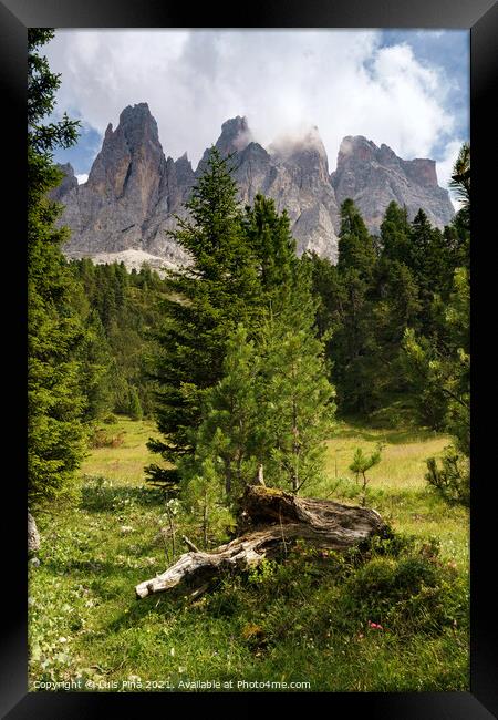 View of Furchetta mountain with trees on the foreground on the Dolomites Italian Alps mountains Framed Print by Luis Pina