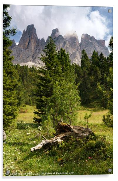 View of Furchetta mountain with trees on the foreground on the Dolomites Italian Alps mountains Acrylic by Luis Pina
