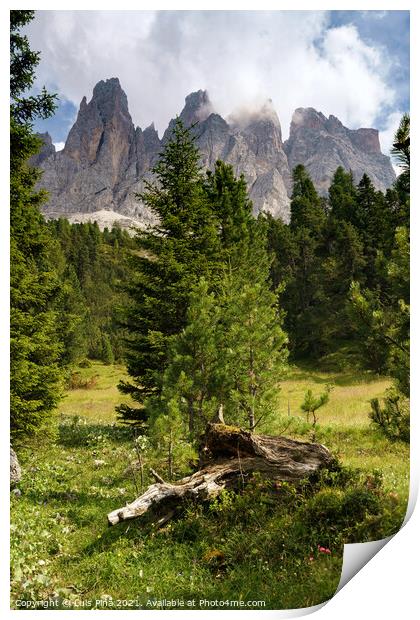 View of Furchetta mountain with trees on the foreground on the Dolomites Italian Alps mountains Print by Luis Pina