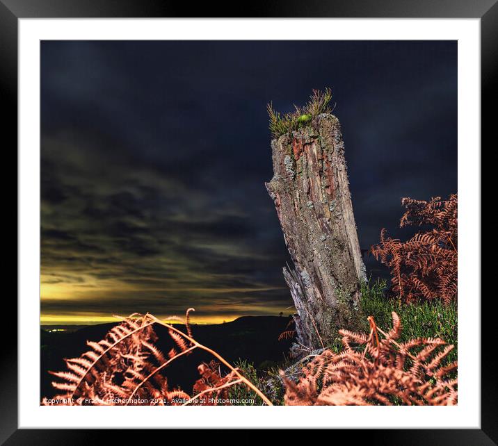 Stumped by night Framed Mounted Print by Fraser Hetherington