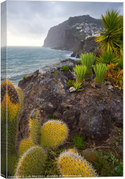 View of Cape Girão with Cactus on the foreground in Camara de Lobos, Madeira Canvas Print by Luis Pina