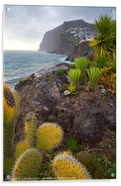 View of Cape Girão with Cactus on the foreground in Camara de Lobos, Madeira Acrylic by Luis Pina