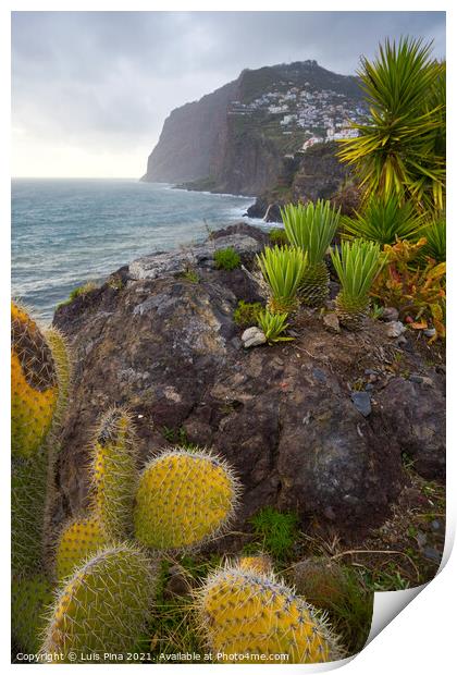 View of Cape Girão with Cactus on the foreground in Camara de Lobos, Madeira Print by Luis Pina