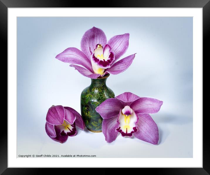  Pretty pink Cymbidium Orchid in a Vase on White Framed Mounted Print by Geoff Childs