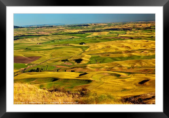 Yellow Green Wheat Fields and Farms from Steptoe Butte Palouse W Framed Mounted Print by William Perry