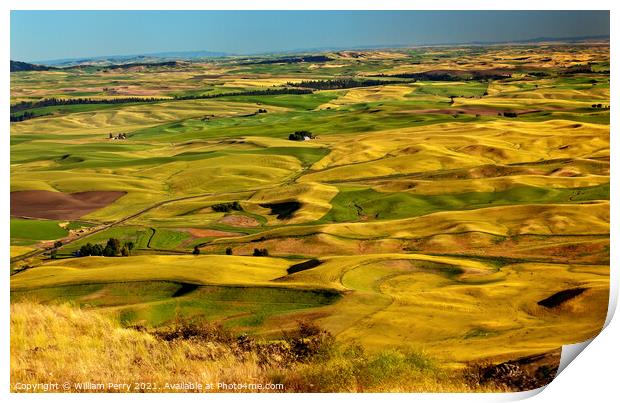 Yellow Green Wheat Fields and Farms from Steptoe Butte Palouse W Print by William Perry