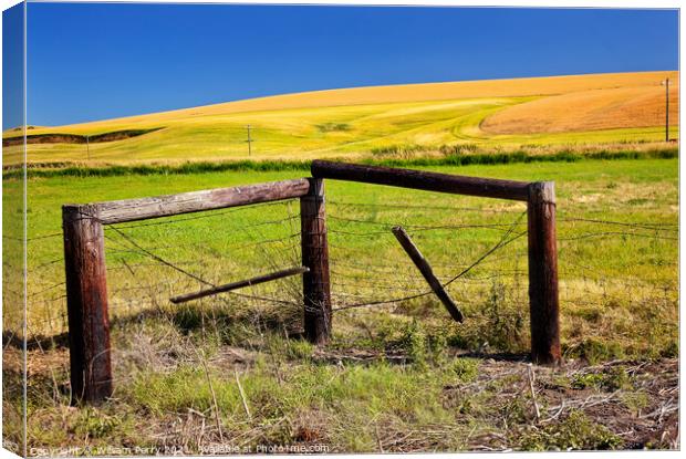 Green Yellow Wheat Grass Fence Blue Skies Palouse Washington Sta Canvas Print by William Perry