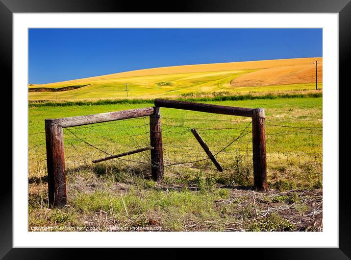 Green Yellow Wheat Grass Fence Blue Skies Palouse Washington Sta Framed Mounted Print by William Perry