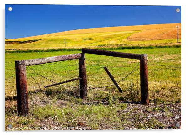 Green Yellow Wheat Grass Fence Blue Skies Palouse Washington Sta Acrylic by William Perry