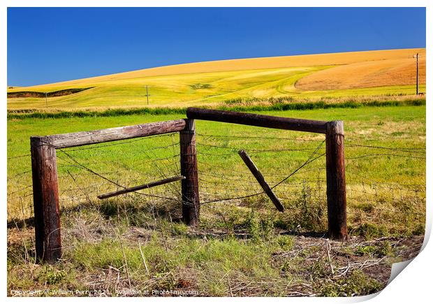 Green Yellow Wheat Grass Fence Blue Skies Palouse Washington Sta Print by William Perry