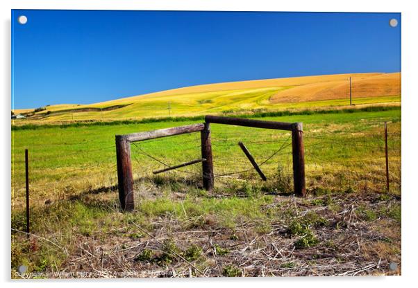 Farm Green Yellow Wheat Grass Fence Blue Skies Palouse Washingto Acrylic by William Perry