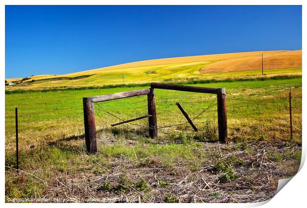 Farm Green Yellow Wheat Grass Fence Blue Skies Palouse Washingto Print by William Perry