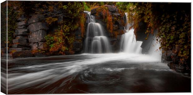 Penllergare waterfall in Swansea Canvas Print by Leighton Collins