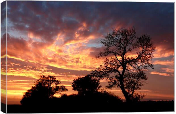 Tree silhouette at Sunrise Snowshill Cotwolds  Gloucestyershire Canvas Print by Simon Johnson