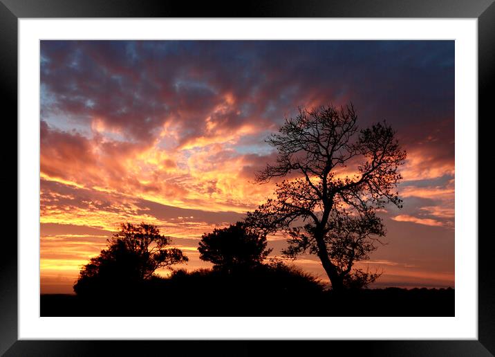 Tree silhouette at Sunrise Snowshill Cotwolds  Gloucestyershire Framed Mounted Print by Simon Johnson