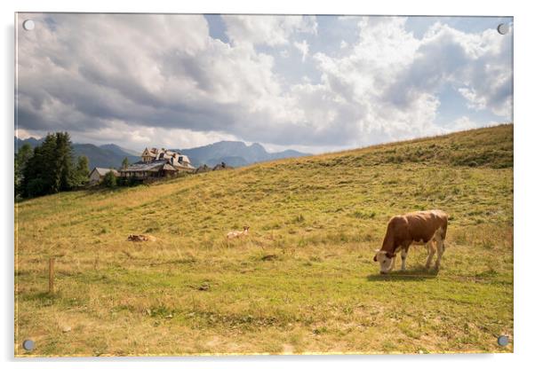 Wide angle view of green meadow countryside field with A shaped house and cows eating grass against sleeping knight tatra mountain aka as giewont and dramatic clouds, Zakopane, Poland, Europe Acrylic by Arpan Bhatia
