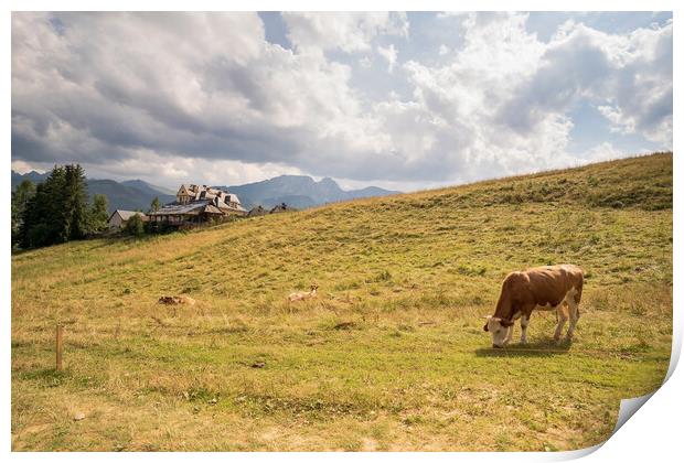 Wide angle view of green meadow countryside field with A shaped house and cows eating grass against sleeping knight tatra mountain aka as giewont and dramatic clouds, Zakopane, Poland, Europe Print by Arpan Bhatia