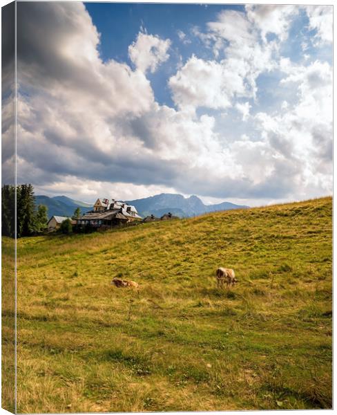 Wide angle view of green grass meadow countryside field with A shaped house and cows against sleeping knight tatra mountain aka as giewont and dramatic clouds located in Zakopane, South Poland, Europe Canvas Print by Arpan Bhatia